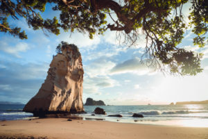 Te Hoho Rock in Cathedral Cove at sunrise, Coromandel Peninsula, New Zealand Te Hoho Rock in Cathedral Cove at sunrise, Coromandel Peninsula, New Zealand