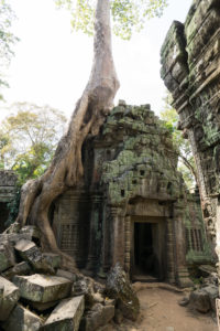 Temple in Cambodia, Siem Reap Temple in Cambodia, Siem Reap