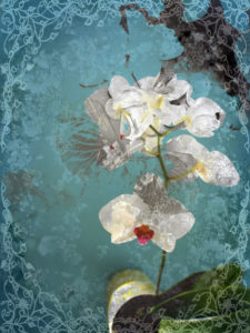 Composing, white orchid framed by floral pattern before blue background, 