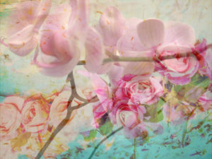 A Floral Montage, 