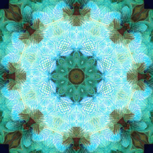 photographic blossoms Mandala