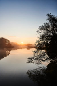 Nature, Germany, Lower Saxony, Lüneburg Heath, Brietlingen, Lüdershausen, Reihersee, sunrise, fog Nature, Germany, Lower Saxony, Lüneburg Heath, Brietlingen, Lüdershausen, Reihersee, sunrise, fog