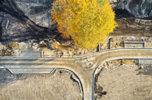Infrastruktur, Strukturen, Formen, Spuren, Erdfarben, gelbe Baumkrone, Erschließung eines Baugebiets, Straßenführung, einzelner Baum im Straßenraum Infrastruktur, Strukturen, Formen, Spuren, Erdfarben, gelbe Baumkrone, Erschließung eines Baugebiets, Straßenführung, einzelner Baum im Straßenraum