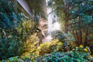 Architecture, technology and nature, under a bridge, superstructure against the light, concrete bridge protrudes from the vegetation, light spot Architecture, technology and nature, under a bridge, superstructure against the light, concrete bridge protrudes from the vegetation, light spot