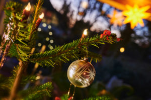 Christmas, Christmas custom, Christmas tree, fir branch, poinsettia, tree candles, dusk, blue hour, color contrast Christmas, Christmas custom, Christmas tree, fir branch, poinsettia, tree candles, dusk, blue hour, color contrast