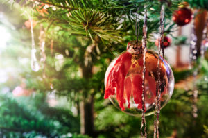 Christmas, Christmas custom, Christmas tree, pine branch, Christmas ornament, wax drops, back light Christmas, Christmas custom, Christmas tree, pine branch, Christmas ornament, wax drops, back light