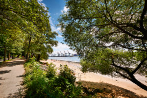 Germany, Northern Germany, Hamburg, Altona, port city, Othmarschen, Hans-Leip-Ufer, Elbe, Elbe beach, bank promenade, old trees Germany, Northern Germany, Hamburg, Altona, port city, Othmarschen, Hans-Leip-Ufer, Elbe, Elbe beach, bank promenade, old trees