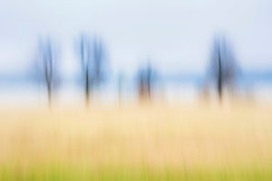 Artphoto, Intentional Camera Movement, Deutschland, Uferlandschaft, Elbtal, Norddeutschland, Niedersachsen, Elbe, Ufer bei Artlenburg, melancholische Stimmung, verwischte Vegetation Artphoto, Intentional Camera Movement, Deutschland, Uferlandschaft, Elbtal, Norddeutschland, Niedersachsen, Elbe, Ufer bei Artlenburg, melancholische Stimmung, verwischte Vegetation