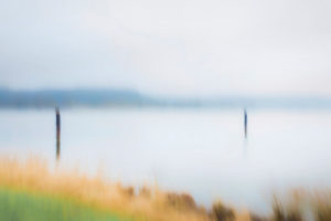 Artphoto, Intentional Camera Movement, Uferlandschaft, Elbtal, Deutschland, Norddeutschland, Niedersachsen, Elbe, Ufer bei Artlenburg, melancholische Stimmung, Ufer im Nebel Artphoto, Intentional Camera Movement, Uferlandschaft, Elbtal, Deutschland, Norddeutschland, Niedersachsen, Elbe, Ufer bei Artlenburg, melancholische Stimmung, Ufer im Nebel