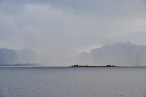 Cruise along the coast of Norway, fog over the open sea between Vesterålen and Lofoten, silvery water and tiny islands with individual trees