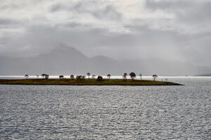 Cruise along the coast of Norway, fog over the open sea between Vesterålen and Lofoten, silvery water and tiny islands with individual trees