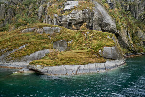 Cruise along the coast of Norway, Lofoten archipelago, rocky shore with moss and lichen in the Trollfjord, steep rock faces