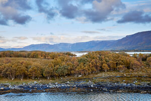 Cruise along the coast of Norway, Vega Archipelago, wooded headland