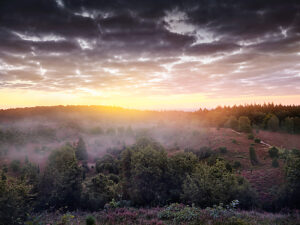 Landscape, romantic natural backdrop, at sunrise in the Lüneburg Heath, morning mist in the Totengrund, 30-hectare basin