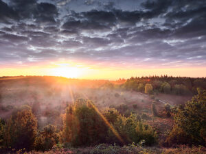 Landscape, romantic natural scenery, at sunrise in the Lüneburg Heath, morning mist in the Totengrund basin, the sun comes over the horizon