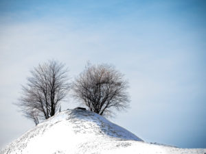 Winterlandschaft im Tannzapfenland im Kanton Thurgau Winterlandschaft im Tannzapfenland im Kanton Thurgau