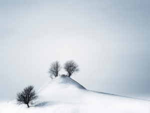 Winterlandschaft im Tannzapfenland im Kanton Thurgau Winterlandschaft im Tannzapfenland im Kanton Thurgau