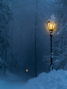 Winter night in Uetli mountain forest, planet path Winter night in Uetli mountain forest, planet path