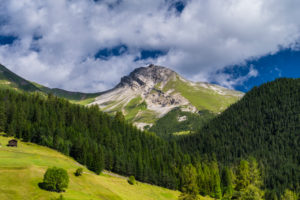 Sommerliche Berglandschaft bei Davos Wiesen Sommerliche Berglandschaft bei Davos Wiesen