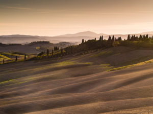 Herbstliche Landschaft in der Toskana bei Siena, Abendstimmung Herbstliche Landschaft in der Toskana bei Siena, Abendstimmung