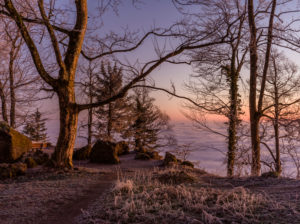 Sunrise over the sea of fog on the Uetliberg near Zurich Sunrise over the sea of fog on the Uetliberg near Zurich