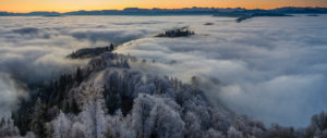 Sunrise over the sea of fog on the Uetliberg near Zurich Sunrise over the sea of fog on the Uetliberg near Zurich