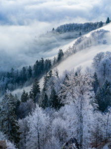Sunrise over the sea of fog on the Uetliberg near Zurich Sunrise over the sea of fog on the Uetliberg near Zurich
