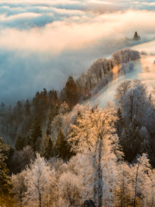 Sonnenaufgang über dem Nebelmeer auf dem Uetliberg bei Zürich Sonnenaufgang über dem Nebelmeer auf dem Uetliberg bei Zürich