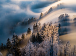 Sonnenaufgang über dem Nebelmeer auf dem Uetliberg bei Zürich Sonnenaufgang über dem Nebelmeer auf dem Uetliberg bei Zürich