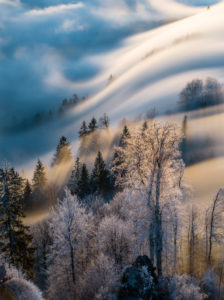 Sunrise over the sea of fog on the Uetliberg near Zurich Sunrise over the sea of fog on the Uetliberg near Zurich