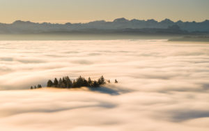 Sonnenaufgang über dem Nebelmeer auf dem Uetliberg bei Zürich Sonnenaufgang über dem Nebelmeer auf dem Uetliberg bei Zürich