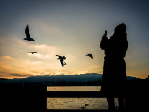 Switzerland, Zurich, human silhouettes with seagulls on Lake Zurich, twilight