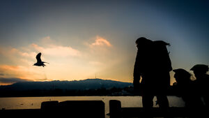 Switzerland, Zurich, human silhouettes with seagulls on Lake Zurich, twilight