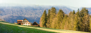 Switzerland, Hirzel, Horgenberg, Farm, Forest, Panorama