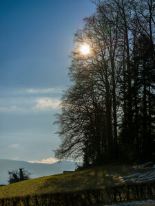 Switzerland, Hirzel, landscape with winter sun