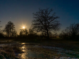 Switzerland, Canton Zurich, Landscape at the Katzensee, Night shot, Moonset