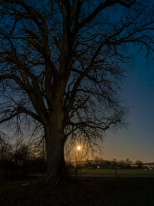 Switzerland, Canton Zurich, Landscape at the Katzensee, Night shot, Moonset