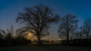 Switzerland, Canton Zurich, Landscape at the Katzensee, Night shot, Moonset