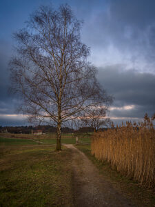 Switzerland, Zurich, Katzensee nature reserve in the evening light