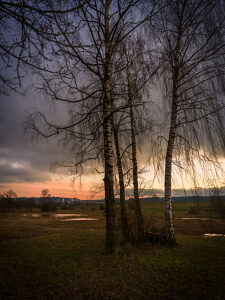 Switzerland, Zurich, Katzensee nature reserve in the evening light