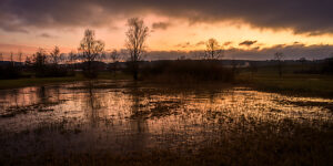 Switzerland, Zurich, Katzensee nature reserve, evening mood