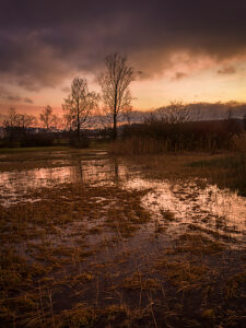 Switzerland, Zurich, Katzensee nature reserve, evening mood