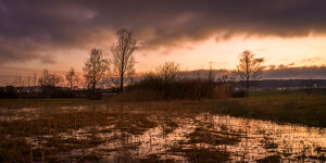 Switzerland, Zurich, Katzensee nature reserve, evening mood