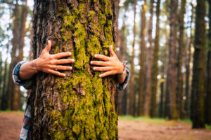 Ecology and environment concept with caucasian people woman hugging a green tree in the outdoor forest - nature and eco lifestyle - change the world - world's day and protection for life and planet Ecology and environment concept with caucasian people woman hugging a green tree in the outdoor forest - nature and eco lifestyle - change the world - world's day and protection for life and planet
