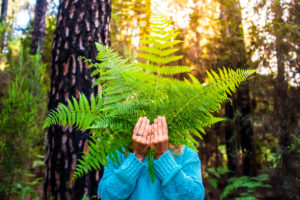 Portrait of unrecognizable people hidden by big leafs from nature forest - concept of earth's day and natural outdoor environment leisure activity - no deforestation and save the planet lifestyle Portrait of unrecognizable people hidden by big leafs from nature forest - concept of earth's day and natural outdoor environment leisure activity - no deforestation and save the planet lifestyle