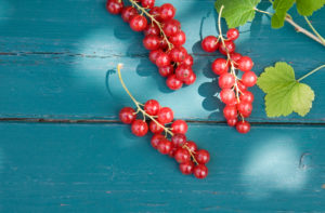 Currants Currants