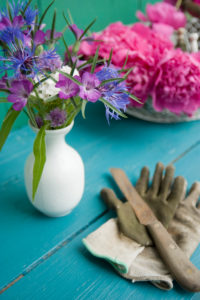 Bouquet from the garden Bouquet from the garden