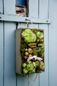 hanging garden hanging garden