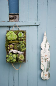 hanging gardens hanging gardens