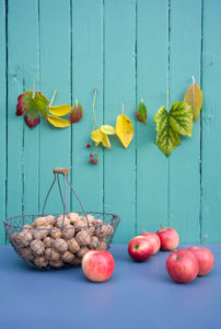 Autumn decoration with garland, apples and walnuts